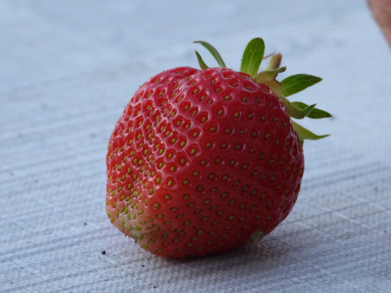 Dlaczego truskawki to najlepsze owoce do robienia smoothie
